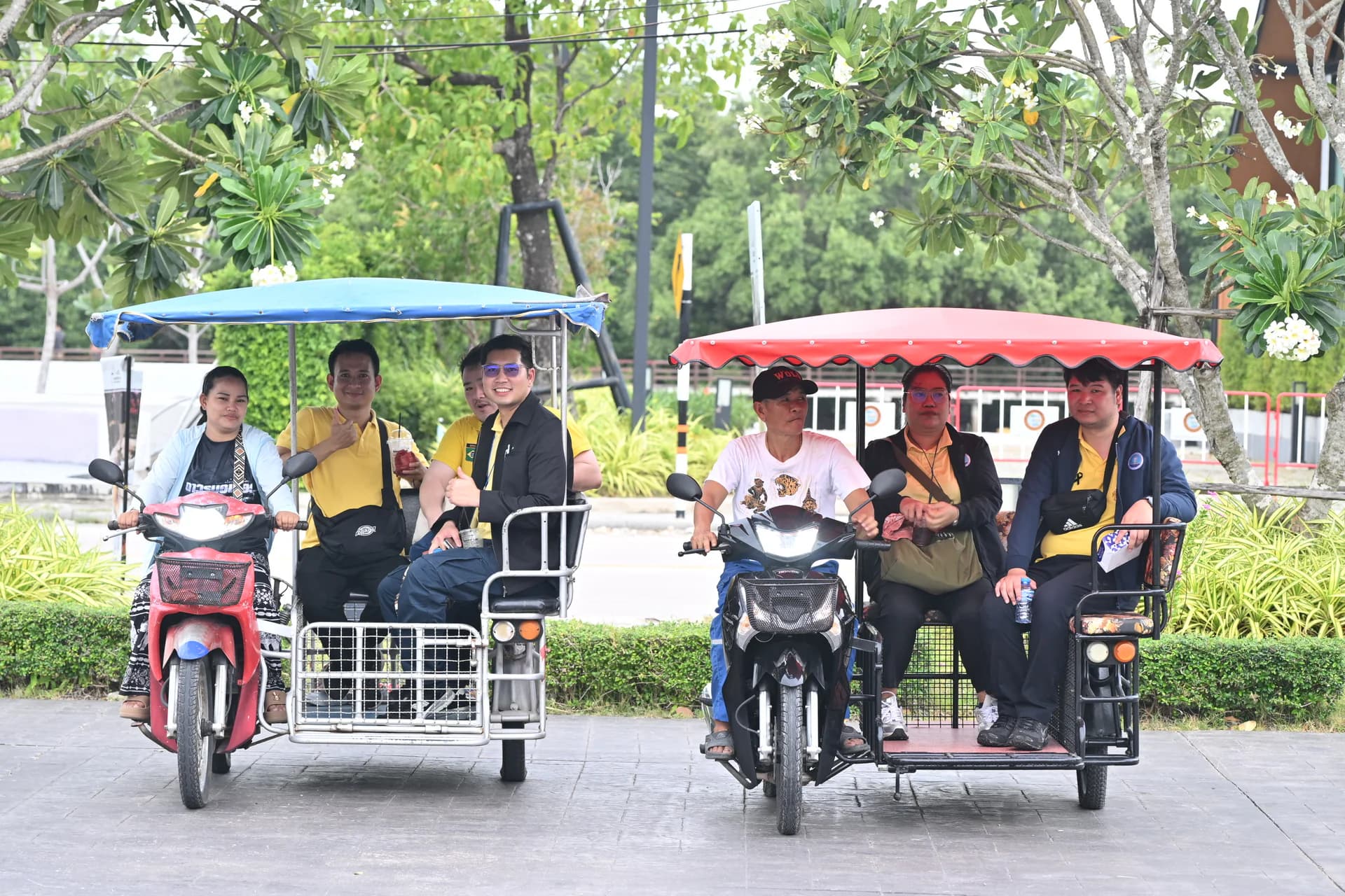 รูปภาพแกลเลอรี