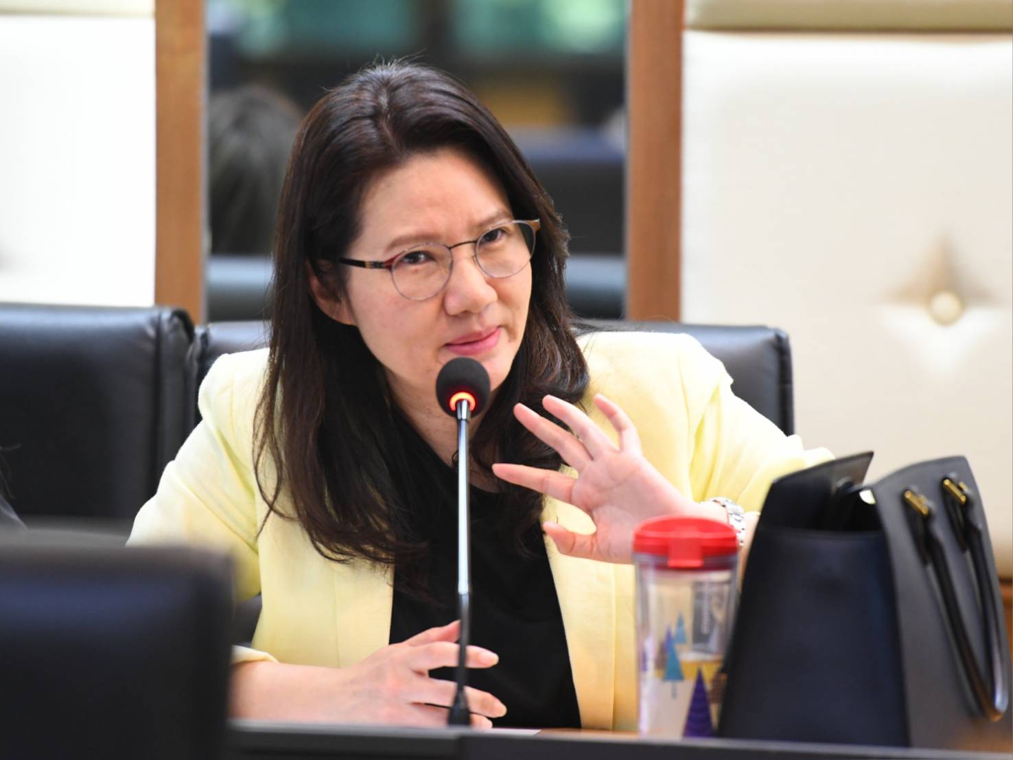 การประชุมหารือทิศทางการพัฒนาระบบอำนวยความสะดวกแก่ผู้เดินทาง