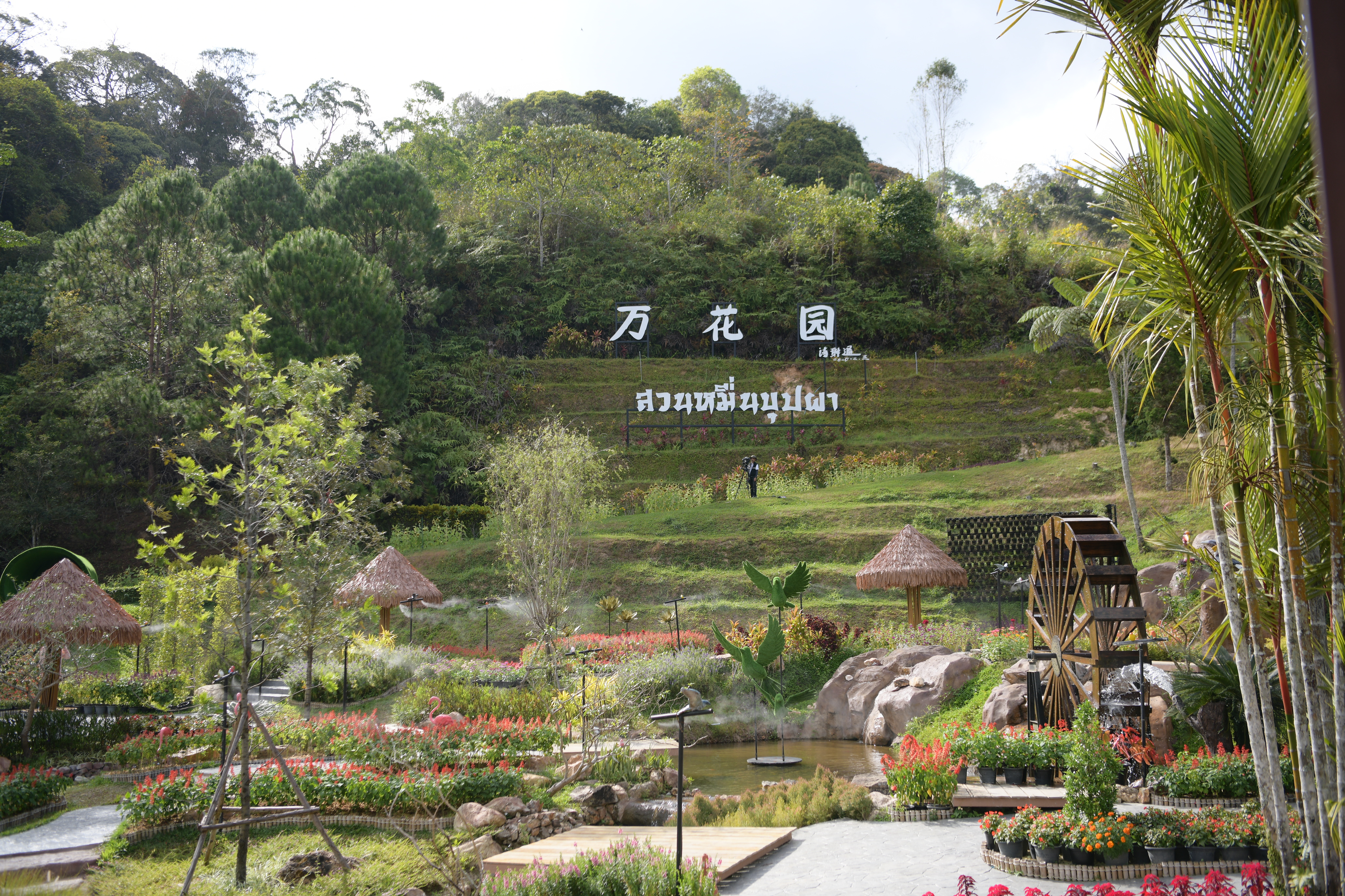 ร่วมกิจกรรม ณ สวนดอกไม้เมืองหนาวเบตง (สวนหมื่นบุปผา) ต.ตาเนะแมเราะ อ.เบตง จ.ยะลา