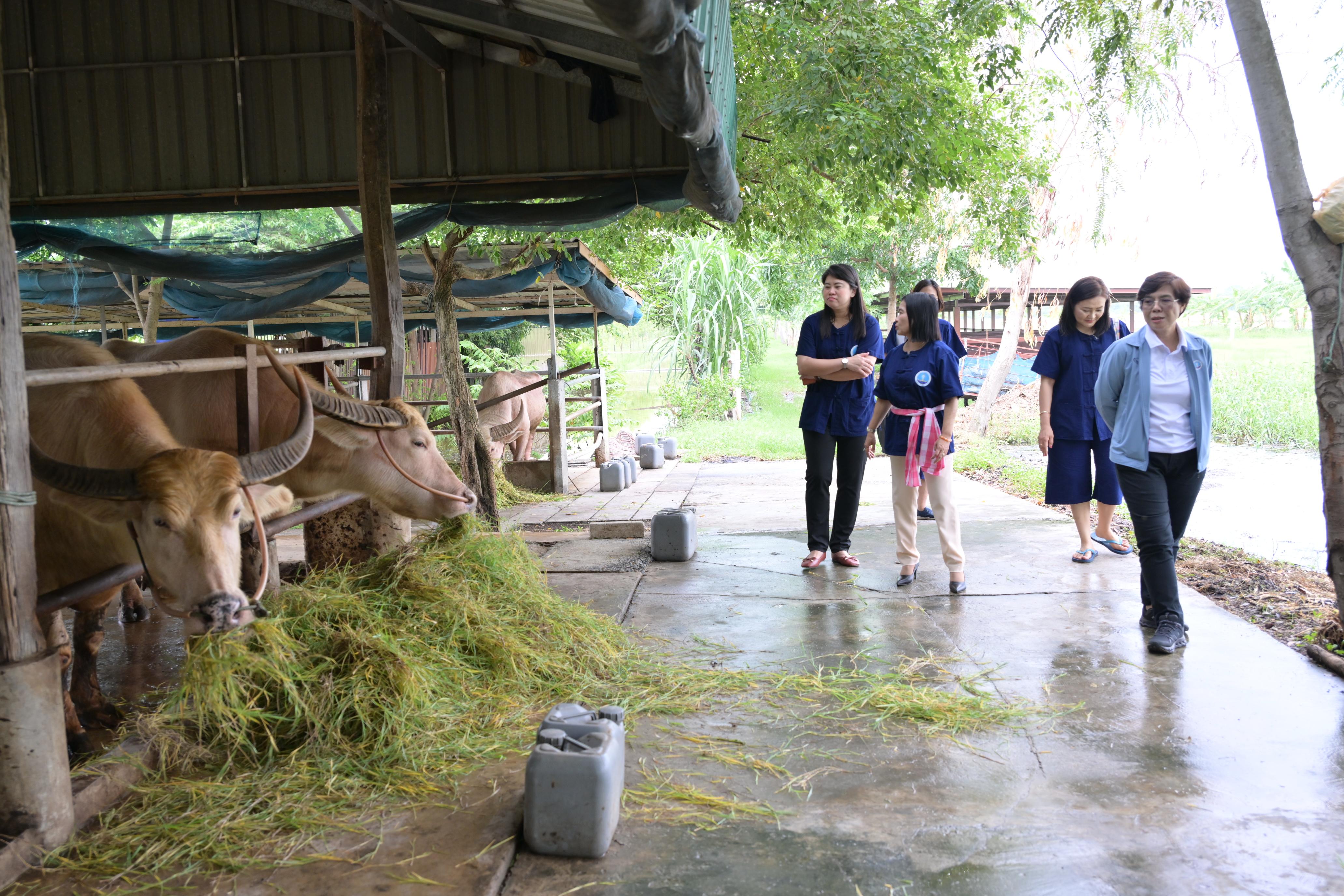 กระทรวงท่องเที่ยวและกีฬาร่วมเฉลิมฉลองวันท่องเที่ยวโลกปี 2567 ภายใต้หัวข้อ 
