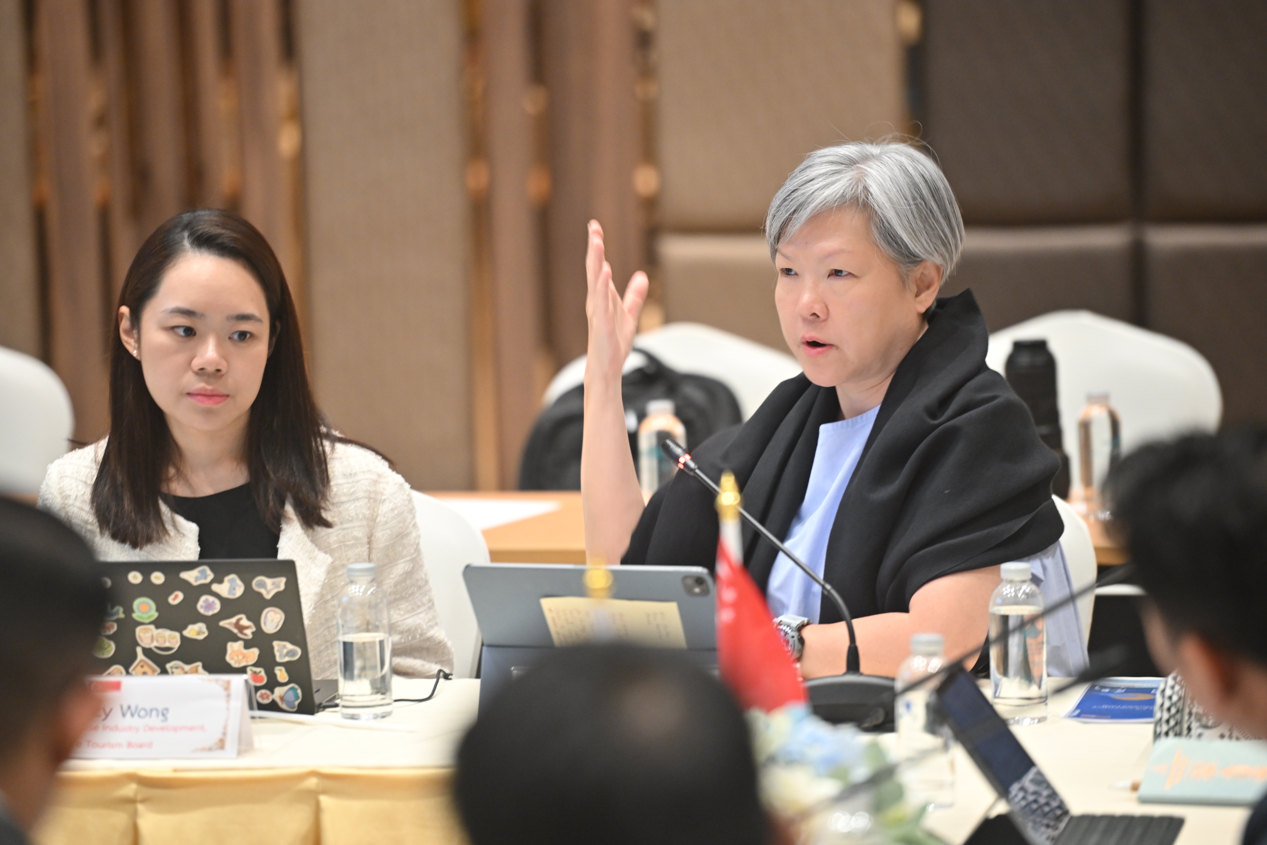 ไทยเป็นเจ้าภาพประชุมคณะทำงานเฉพาะกิจด้านการท่องเที่ยวเรือสำราญ ไทย-สิงคโปร์ ครั้งที่ 2