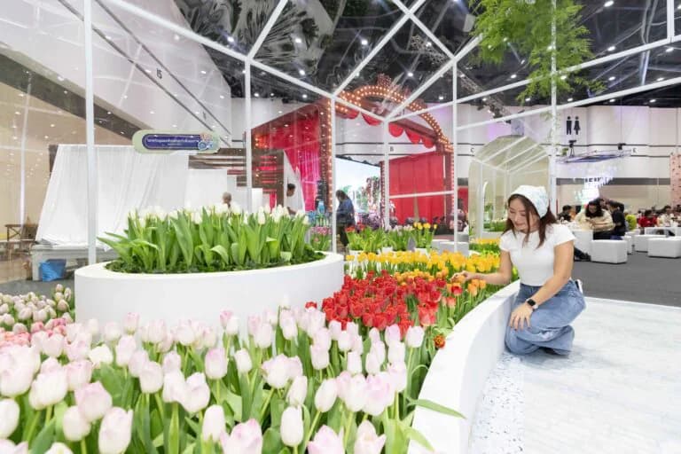 รูปภาพแกลเลอรี